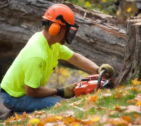 tree services Chesaning